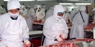 Foto: Producción de carne bovina en Nicaragua supera los 33 millones de libras / Cortesía