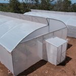 Proyecto que impulsa la educación y la producción agrícola en Niquinohomo, Masaya Foto: Niquinohomo se transforma con el lanzamiento de “Don Orlando”/Cortesía