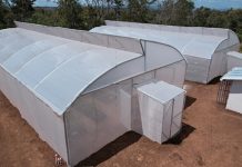 Proyecto que impulsa la educación y la producción agrícola en Niquinohomo, Masaya Foto: Niquinohomo se transforma con el lanzamiento de “Don Orlando”/Cortesía