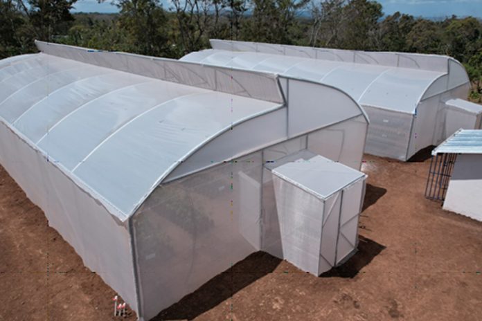 Foto: Niquinohomo se transforma con el lanzamiento de “Don Orlando”/Cortesía