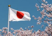 Nicaragua celebra el Día Nacional de Japón con un mensaje de unidad Foto: Nicaragua felicita a Japón en su Día Nacional/Cortesía