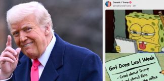 Foto: Trump y Musk desatan críticas /cortesía