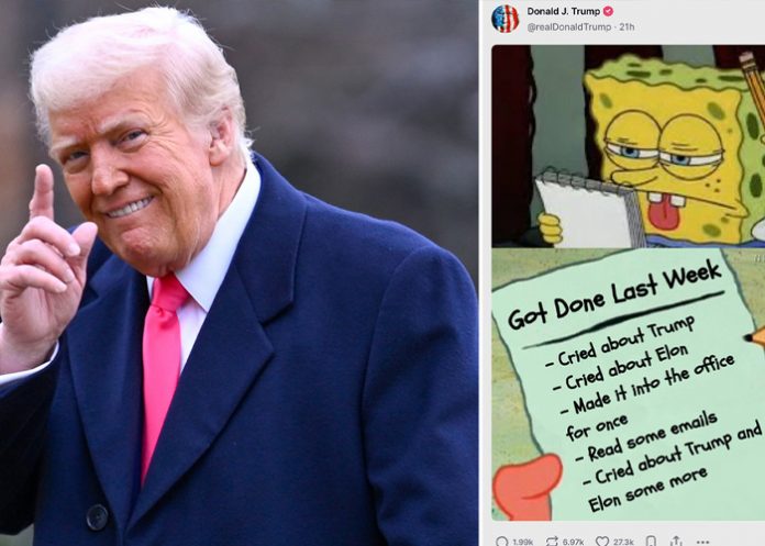 Foto: Trump y Musk desatan críticas /cortesía Foto: Trump y Musk desatan críticas /cortesía