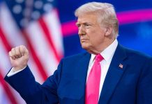 Foto: Trump y Zelenski al borde de un pacto /cortesía