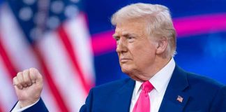 Foto: Trump y Zelenski al borde de un pacto /cortesía