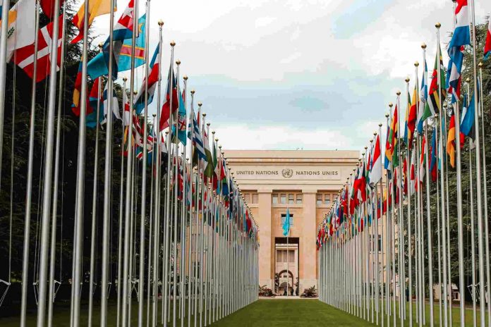 Foto: Nicaragua rechaza informes de la ONU y reafirma su compromiso con la paz / Cortesía