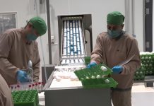 Nicaragua inicia exportación de ovoproductos a Cuba con altos estándares sanitarios