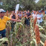INTA fortalece la productividad del sorgo con capacitación a productores Foto: INTA llevó a cabo un Encuentro con Productores/Cortesía
