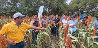 Foto: INTA llevó a cabo un Encuentro con Productores/Cortesía