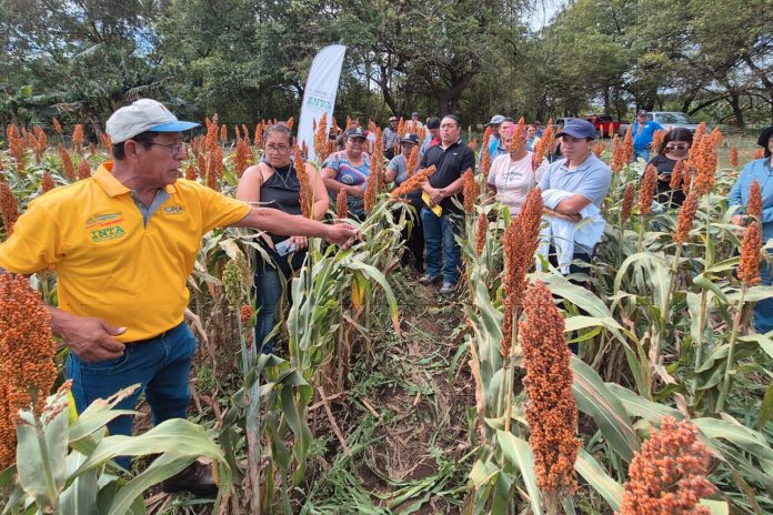 Foto: INTA llevó a cabo un Encuentro con Productores/CortesíaFoto: INTA llevó a cabo un Encuentro con Productores/Cortesía Foto: INTA llevó a cabo un Encuentro con Productores/Cortesía
