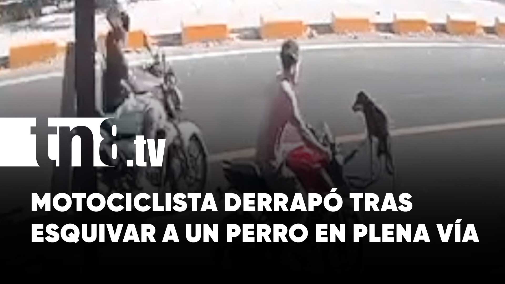 Motociclista derrapó al esquivar un perro y casi es atropellado en ...