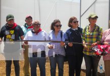 Foto: Universidad Nacional Agraria abre nuevas puertas a la educación /TN8