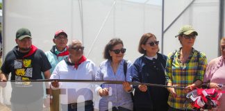 Foto: Universidad Nacional Agraria abre nuevas puertas a la educación /TN8