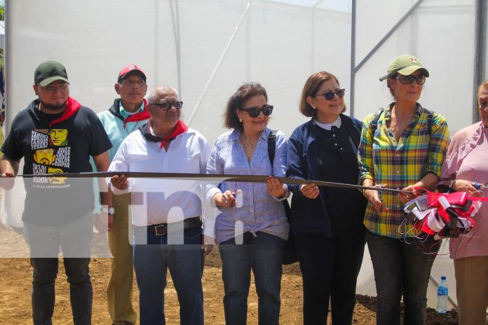 Foto: Universidad Nacional Agraria abre nuevas puertas a la educación /TN8