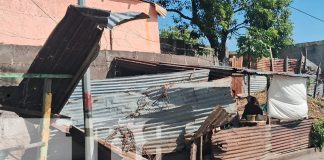 Foto: comerciantes de tortillas del barrio Camilo Ortega, en Managua/TN8