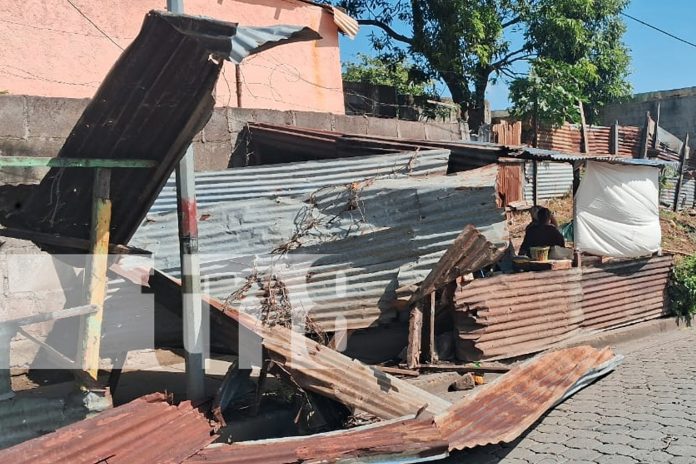 Foto: comerciantes de tortillas del barrio Camilo Ortega, en Managua/TN8 Foto: comerciantes de tortillas del barrio Camilo Ortega, en Managua/TN8