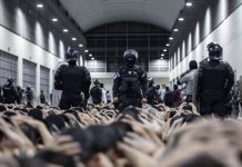 El Salvador abrirá cárceles para criminales estadounidenses a cambio de dinero Foto: El Salvador acogerá a inmigrantes deportados de EE.UU. /Cortesía