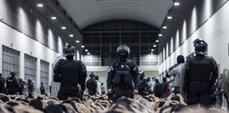 Foto: El Salvador acogerá a inmigrantes deportados de EE.UU. /Cortesía