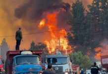 Arrestan a tres presuntos responsables de incendios en Argentina Foto: Incendios en Argentina /cortesía