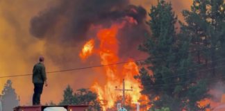 Foto: Incendios en Argentina /cortesía
