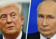 Trump y Putin mantienen charla «productiva» sobre Ucrania y Medio Oriente Foto: Diálogo entre Trump y Putin /cortesía