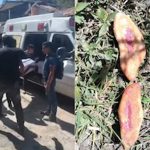 ¡México! Tres niñas mueren tras comer pan envenenado encontrado en la calle Foto: Tres niñas fallecieron en la comunidad de San Cayetano, México/Cortesía