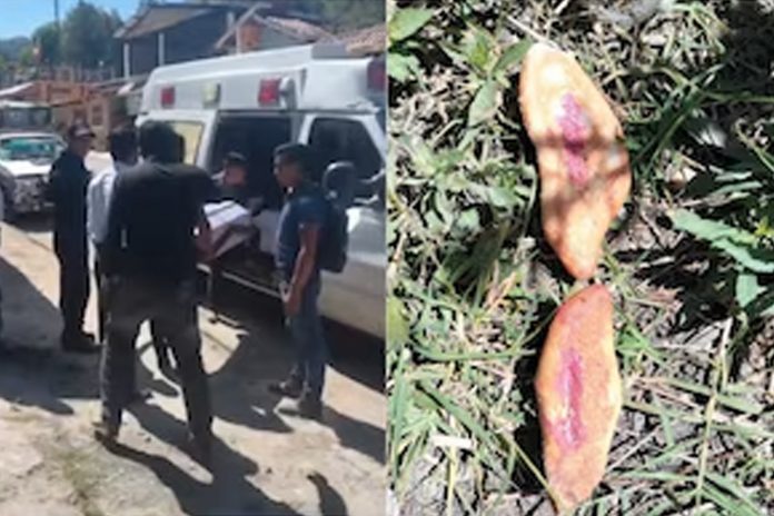 Foto: Tres niñas fallecieron en la comunidad de San Cayetano, México/Cortesía Foto: Tres niñas fallecieron en la comunidad de San Cayetano, México/Cortesía
