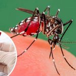 Disminuyen casos de dengue, malaria e influenza Foto: Disminuyen casos de dengue, malaria e influenza