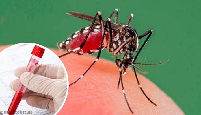 2 Foto: Disminuyen casos de dengue, malaria e influenza