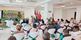 Foto: Productores de Frijol en Nicaragua impulsan su cosecha con nuevas tecnologías / Cortesía