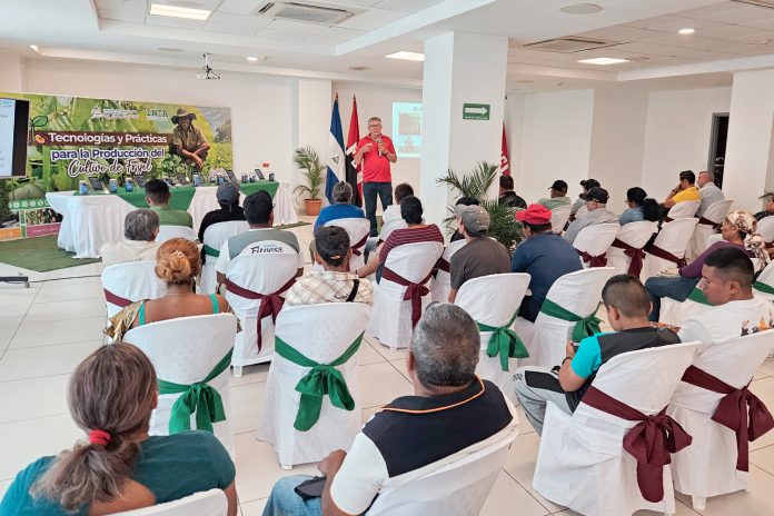 2 Foto: Productores de Frijol en Nicaragua impulsan su cosecha con nuevas tecnologías / Cortesía