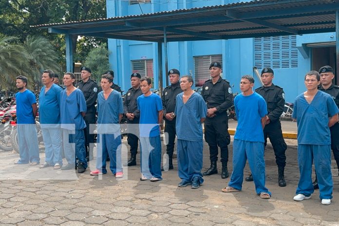 Foto: Detienen a peligrosos delincuentes en Masaya y Chinandega/TN8