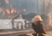 Incendio reduce a cenizas una vivienda en Tipitapa, dejando a cuatro familias sin refugio Foto: incendio reduce a cenizas una vivienda en Tipitapa, dejando a cuatro familias sin refugio/TN8
