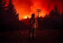 Foto: Fuego y caos en Argentina tras un incendio de gran magnitud / Cortesía