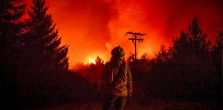 Foto: Fuego y caos en Argentina tras un incendio de gran magnitud / Cortesía