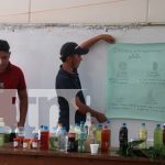 Estudiantes de la Costa Caribe enseñan remedios naturales para la salud del ganado Foto: Estudiantes de la Costa Caribe enseñan remedios naturales para la salud del ganado/TN8