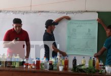 Foto: Estudiantes de la Costa Caribe enseñan remedios naturales para la salud del ganado/TN8