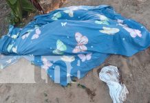 Excavación mortal en Granada: Hombre muere asfixiado por gases volcánicos Foto: Tragedia en Granada: Joven muere asfixiado por gases/TN8