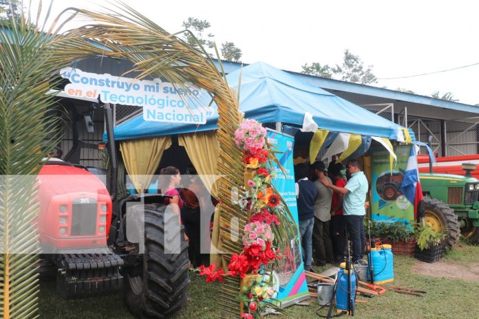 Foto: Inicia las clases en el Caribe Norte /TN8