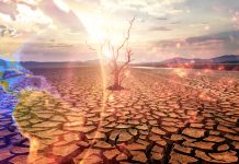 El 40% de la Tierra podría volverse inhabitable por calor extremo Foto: Calor en amenaza mortal /cortesía