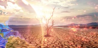 Foto: Calor en amenaza mortal /cortesía