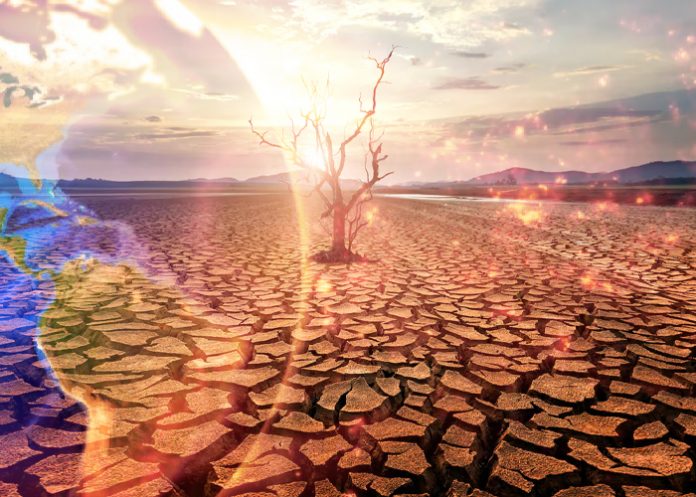 Foto: Calor en amenaza mortal /cortesía