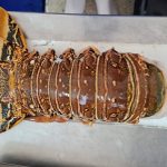 INPESCA monitorea estado de la langosta en Bilwi Foto: INPESCA monitorea estado de la langosta en Bilwi