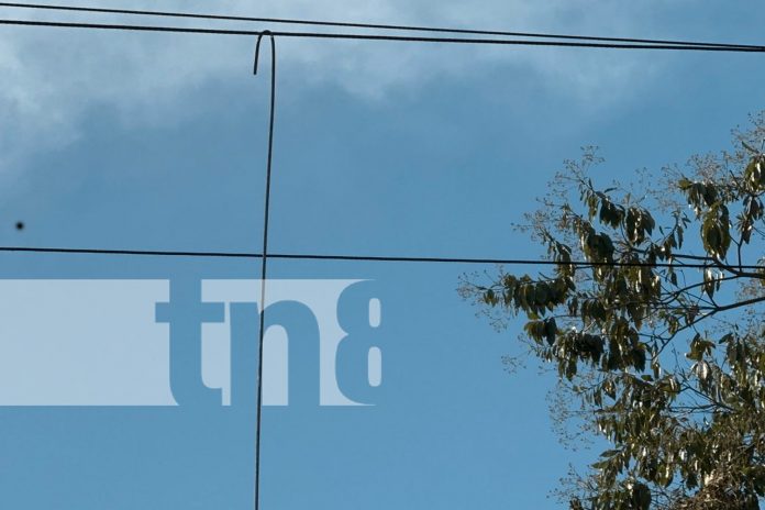 Foto: Fallece horas después la esposa del electrocutado en Chinandega/TN8 Foto: Fallece horas después la esposa del electrocutado en Chinandega/TN8