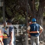 Foto: Alcaldía de Granada moderniza espacios públicos /TN8