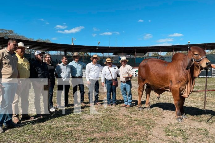 Foto:  ¡La Feria Ríos de Leche 2025 ya tiene fecha! en Chontales/TN8 Foto: ¡La Feria Ríos de Leche 2025 ya tiene fecha! en Chontales/TN8