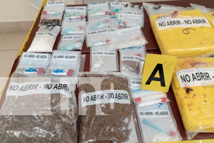 Foto: Policía de Nicaragua captura a delincuentes/TN8