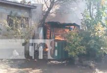 Incendio devora vivienda en Managua tras quema de basura en el patio Foto: Incendio en una vivienda de Managua/TN8