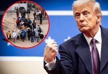 Foto: Trump presiona para expulsar migrantes /cortesía