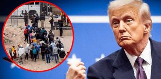 Foto: Trump presiona para expulsar migrantes /cortesía